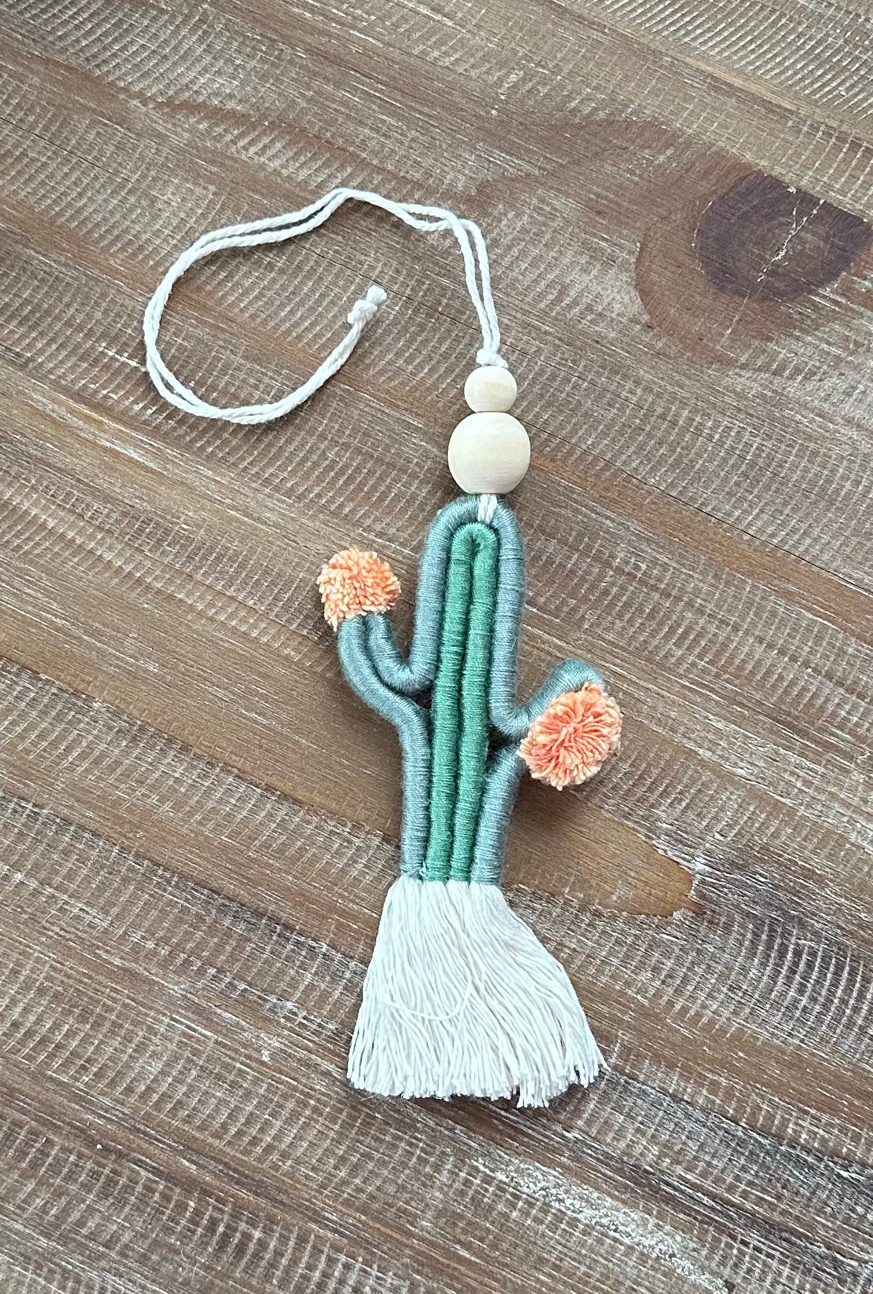 Cactus car mirror hanger